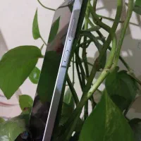 سامسونگ A36|موبایل|بجنورد, |دیوار