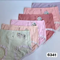 فروش انواع لباس زیر|لباس|بانه, |دیوار