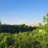فروش باغ با امکانات کامل و ویو عالی در سراب قامیش