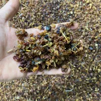 کشمش آبگیری تاکستان|خوردنی و آشامیدنی|تاکستان, |دیوار