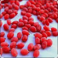 زرشک دون شده آبدار|خوردنی و آشامیدنی|تهران, آشتیانی|دیوار