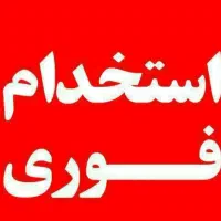 نیروی کار ساده