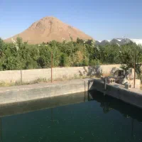 فروش باغ و زمین کشاورزی سند تک برگ|فروش زمین و ملک کلنگی|دهاقان, |دیوار