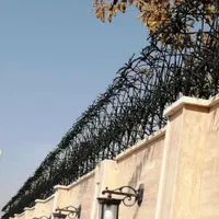 ‌  تولیدی حفاظ شاخ گوزنی در یزد