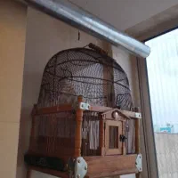 قفس گنبدی ، سایز چهار