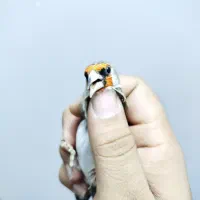 سهره بخون معاوضه با کرمانشاهی