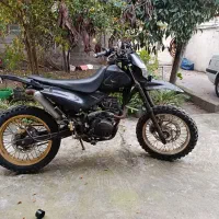 تریل مزایده