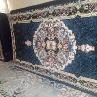 دوجفت پشتی نو