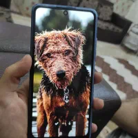 Radmi Note 11pro 5G|موبایل|کرمانشاه, |دیوار