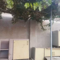 کابینت دسته دوم|آب‌چکان و نظم‌دهنده ظروف|سبزوار, باهنر|دیوار