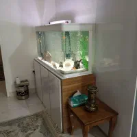 اکواریوم شیشه خم|ماهی|خرمآباد, |دیوار