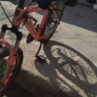 دوچرخه ۲۴ تنه بزرگ