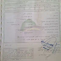 حج تمتع سنی ۸۶