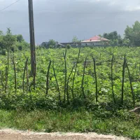 زمین مسکونی با مجوز ساخت محصور با امتیازات