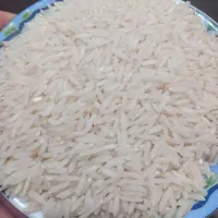 برنج طارم دوکشت مصرفی خودمونه خوش پخت