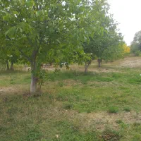 ۱۰۰۰ متر باغ دارای سند برِ جاده اصلی تنگه واشی|فروش زمین و ملک کلنگی|فیروزکوه, |دیوار
