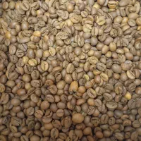 پخش قهوه کیان