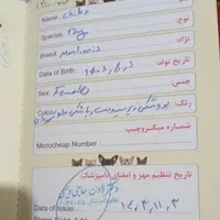 سگ مانینیوز|سگ|سنندج, |دیوار