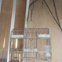 تعدادی قفس سهره|لوازم جانبی حیوانات|شیراز, شهرک مفتح|دیوار