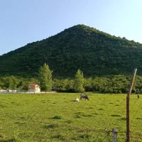 1000متر-زمین-مسکونی-پای-کوه-تک-برگ-سند