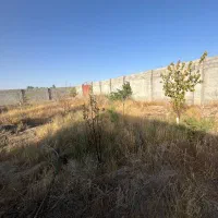زمین ۷۵۰ متری،در روستای لک لک کوچه مرغداری|فروش زمین و ملک کلنگی|مشهد, سپاد|دیوار