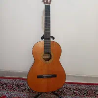 گیتار نو