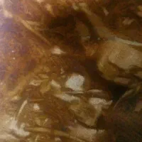 زمین و کار از من سرمایه از شما