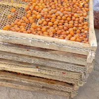 آلو کبرایی|خوردنی و آشامیدنی|تهران, جیحون|دیوار