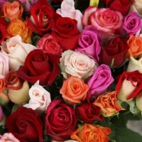 راهنمایی کنید