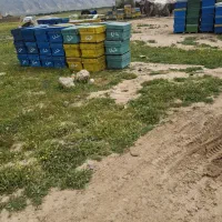 کندوی زنبورعسل