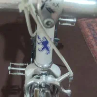دوچرخه کورسی پژو|دوچرخه، اسکیت، اسکوتر|شیراز, ستارخان|دیوار
