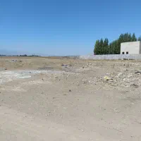 زمین باغ|فروش زمین و ملک کلنگی|نمین, |دیوار