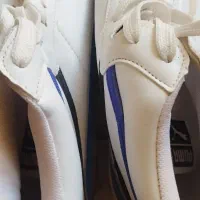 کفش مردانه|کیف، کفش، کمربند|خوسف, |دیوار