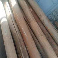 خرید چوب خشک سقفی وانواع چوب درباغات|خدمات پیشه و مهارت|ارومیه, |دیوار