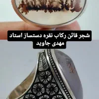 شجر ،استاد جاوید