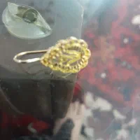 گوشواره گم شده