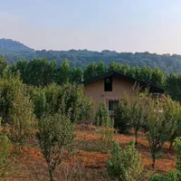 فروش زمین ۲۳۰ متری زرین آباد ساری ۳۶۰ میلیون|فروش زمین و ملک کلنگی|ساری, |دیوار