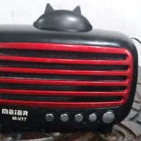 رادیو و ظبط فلش خور