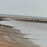 همسفر