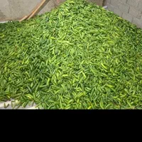 خیار رویال مخصوص خیار شور با اب چاه|خوردنی و آشامیدنی|تهران, هفده شهریور|دیوار