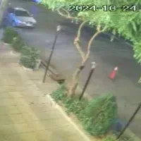 پرسنل ساده جهت وسط کاری در رستوران و آشپز ایرانی|استخدام خدمات فروشگاه و رستوران|اراک, |دیوار