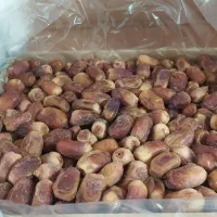 خرما زاهدی|خوردنی و آشامیدنی|بهار, |دیوار