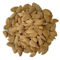 فروش تناژ بالا مغز بادام تازه