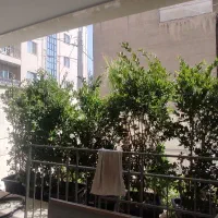 80-متر-2-خواب-برند-منطقه-چسب-دریانو