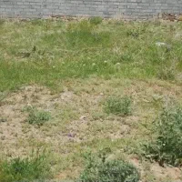 زمین دهبکری خیابان انقلاب