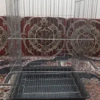 قفس|لوازم جانبی حیوانات|تهران, میدان ولیعصر|دیوار