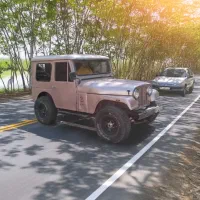 جیپ شهباز مدل ۵۶کلاسیک قدرتمند، آماده فتح جاده‌ها|خودرو کلاسیک|تهران, فدک|دیوار