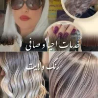خدمات رنگ و لایت و احیا وصافی
