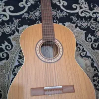 گیتار کره ای