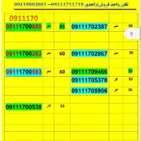 09113737839